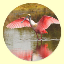 spoonbill stickers