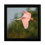 spoonbill trinket box