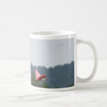 Spoonbills Mugs