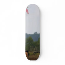 Spoonbills skateboards by lifesphere Spoonbills skateboards