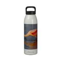 Spooning for Dinner Drinking Bottle