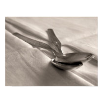 Spoons posters