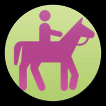 sport horse riding stickers