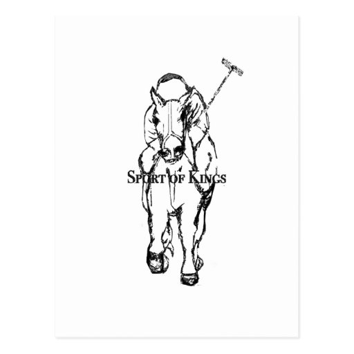 sport of kings postcards
