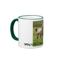 sportaloosa fun times mugs