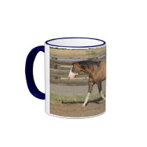 sportaloosa stallion bradford mugs