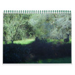 sportsman's view calendar