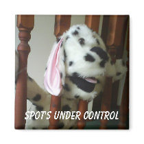 Spot Control magnets by Eddy_G Spot Control magnets