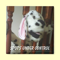 Spot Control magnets