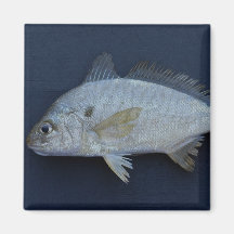 Spot Fish Fridge Magnet