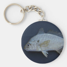 Spot Fish Keychains