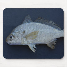 Spot Fish Mouse Pads
