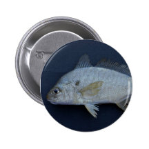 Spot Fish Pin