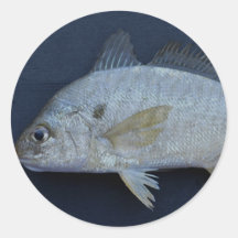 Spot Fish Round Sticker