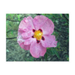 Spot Flower Notes Card postcards