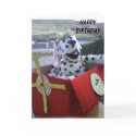Spot flys his imagination cards by Eddy_G Spot flys his imagination cards