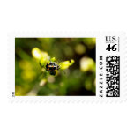 spot ladybird postage