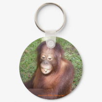 Spotlight on Orangutans keychains by Krista_Orangutan Spotlight on Orangutans keychains