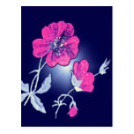 Spotlight on Pink Flower,Blue Back Graphic Design Post Cards