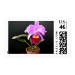 Spotlight on Potted Purple Orchid Stamp