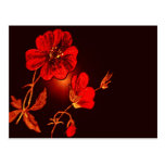 Spotlight on Red Flower,Brown & Black Back Post Cards