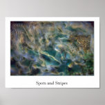 Spots and Stripes posters