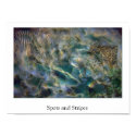 Spots and Stripes posters by tjames Spots and Stripes posters