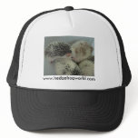Spots hat