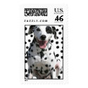 spots with dalmation 1 postage by mikeledray spots with dalmation 1 postage