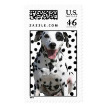 spots with dalmation 1 postage