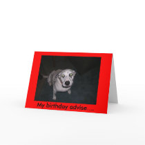 Spotted Advise Card