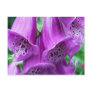 Spotted Bells