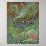 Spotted boxfish Small Poster posters