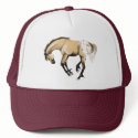 *Spotted Butt hats by Lotacats *Spotted Butt hats