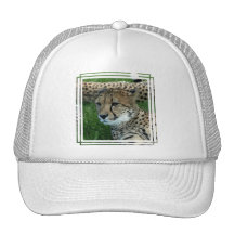Spotted Cheetah Baseball Hat