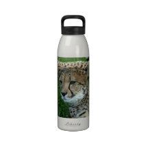 Spotted Cheetah Water Bottle