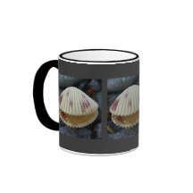 Spotted Cockle Clam on Unalaska Island Mugs