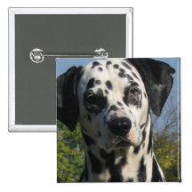 Spotted Dalmation Square Button