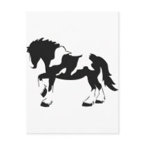 Spotted Draft Horse Postcard