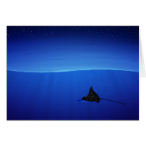 Spotted eagle ray, Aetobatus narinari cards