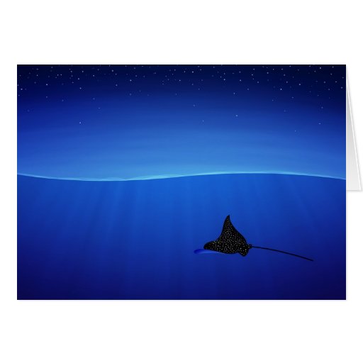 Spotted eagle ray, Aetobatus narinari Cards