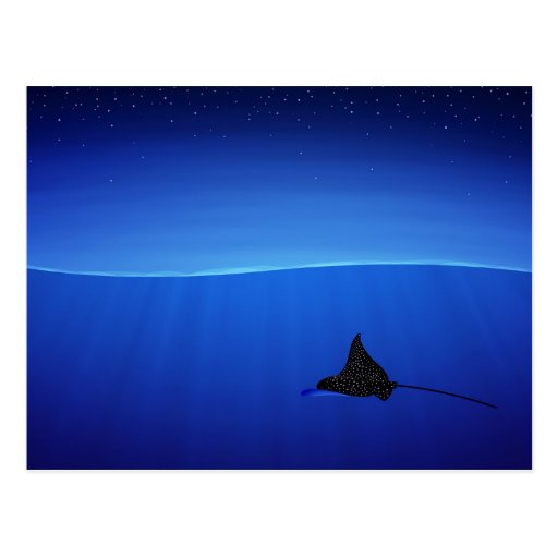Spotted eagle ray, Aetobatus narinari Post Card