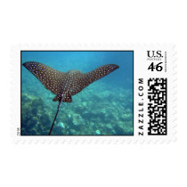 Spotted Eagle Ray Stamps