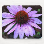 Spotted Echinacea Flower mousepads