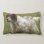 Spotted English Setter  Pillow