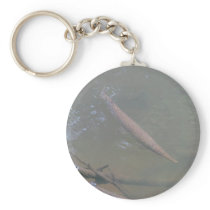 Spotted Gar and Red-eared Slider Key Chains