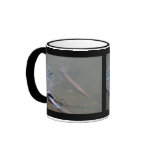 Spotted Gar and Red-eared Slider Mug