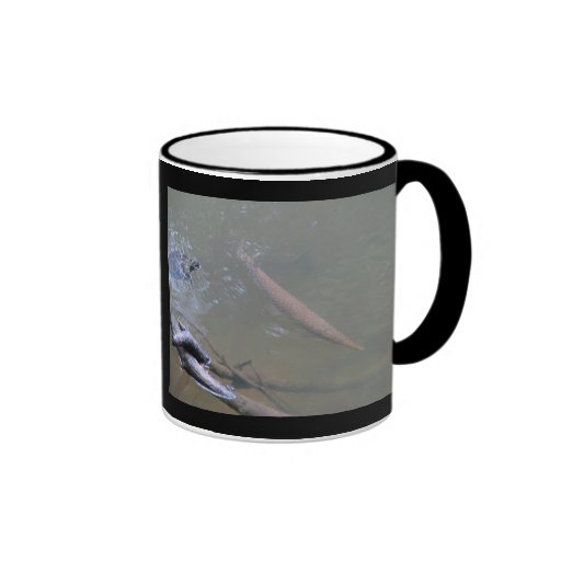 Spotted Gar and Red-eared Slider Mug