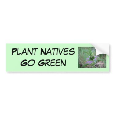 Spotted Horsemint, M. punctata bumpersticker