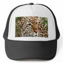 Spotted Leopard Cap Mesh Hats